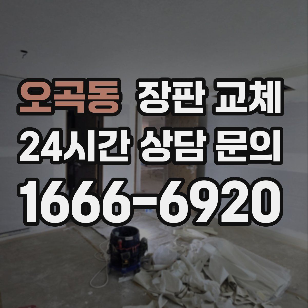 오곡동 장판 교체