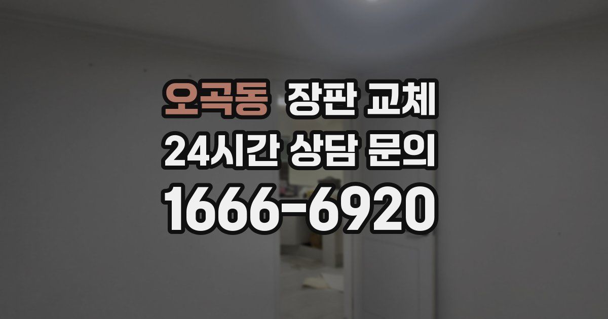 오곡동 장판 교체