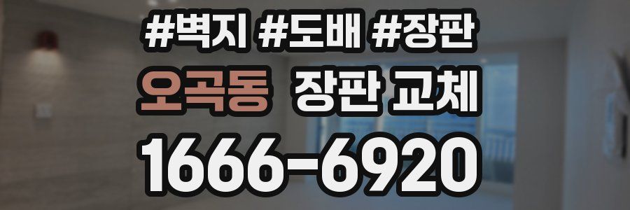 오곡동 장판 교체