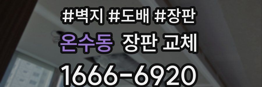 온수동 장판 교체