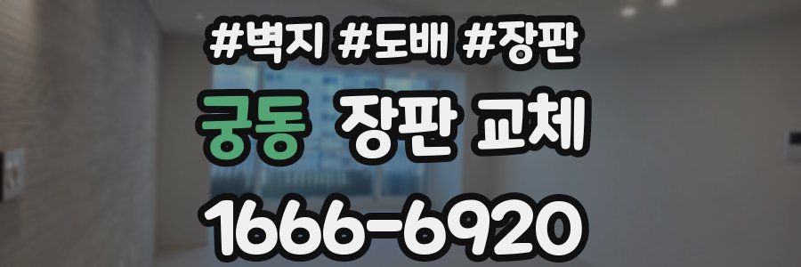 궁동 장판 교체