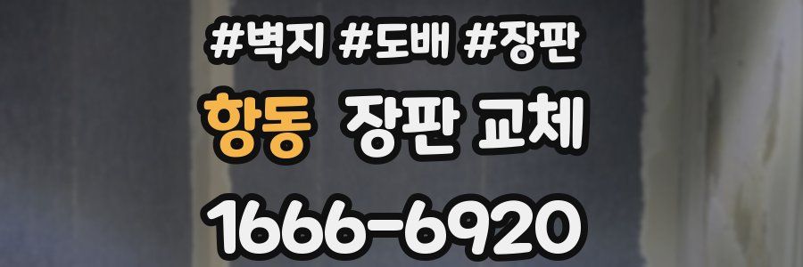 항동 장판 교체