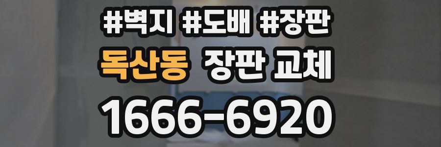 독산동 장판 교체
