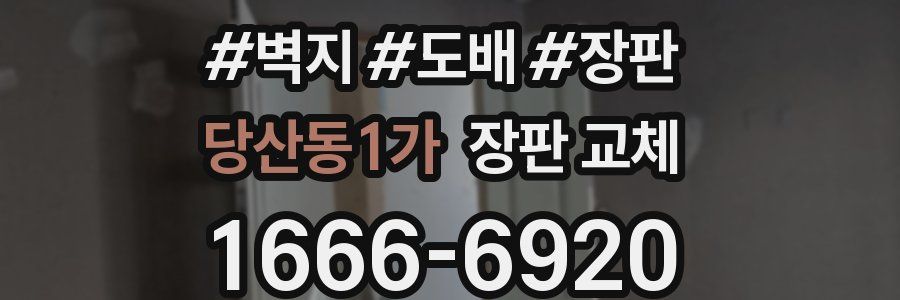 당산동1가 장판 교체