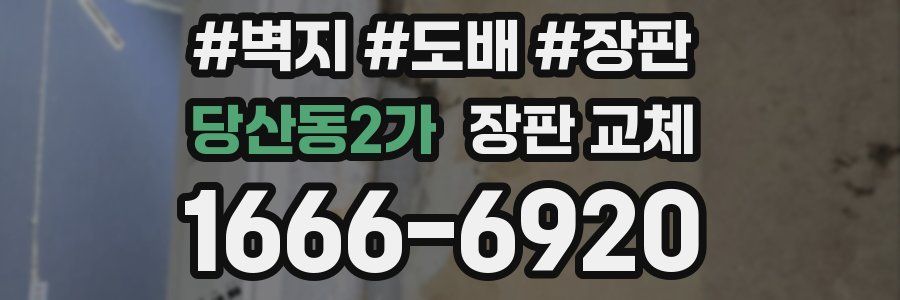 당산동2가 장판 교체