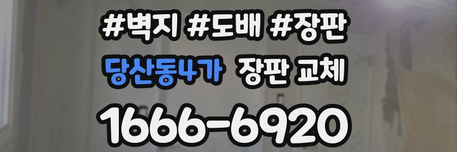 당산동4가 장판 교체