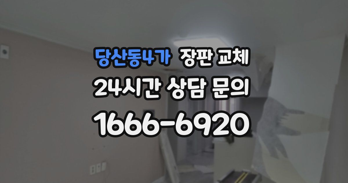 당산동4가 장판 교체