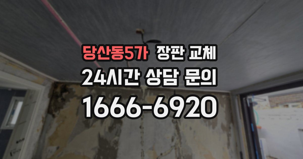 당산동5가 장판 교체