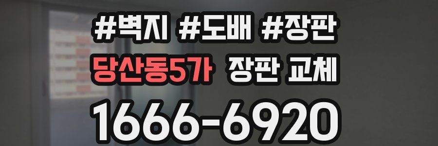 당산동5가 장판 교체