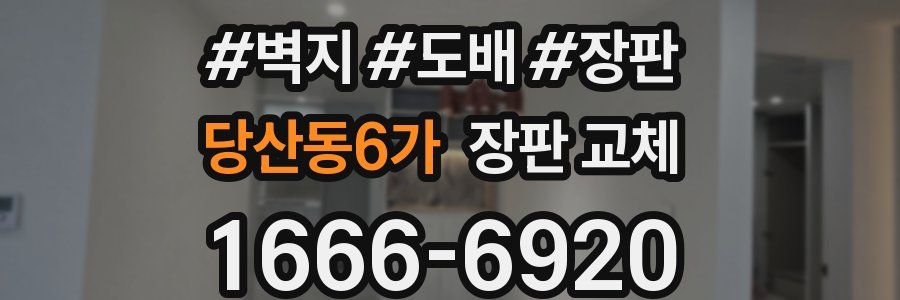 당산동6가 장판 교체