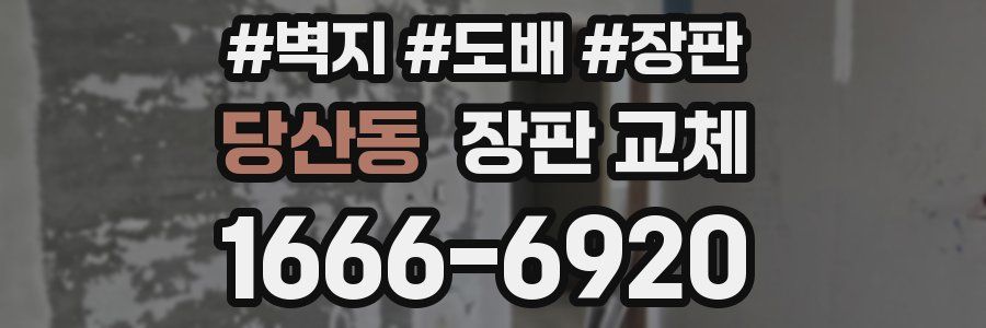 당산동 장판 교체