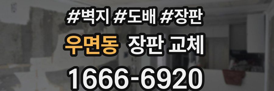 우면동 장판 교체