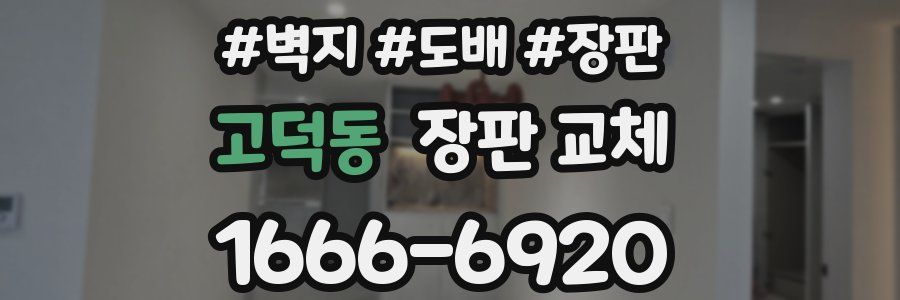 고덕동 장판 교체