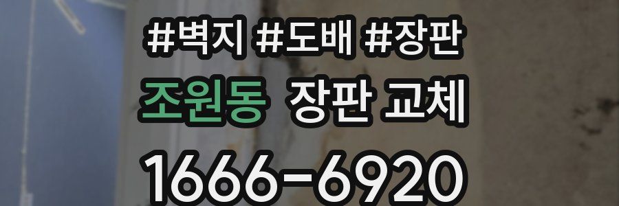 조원동 장판 교체