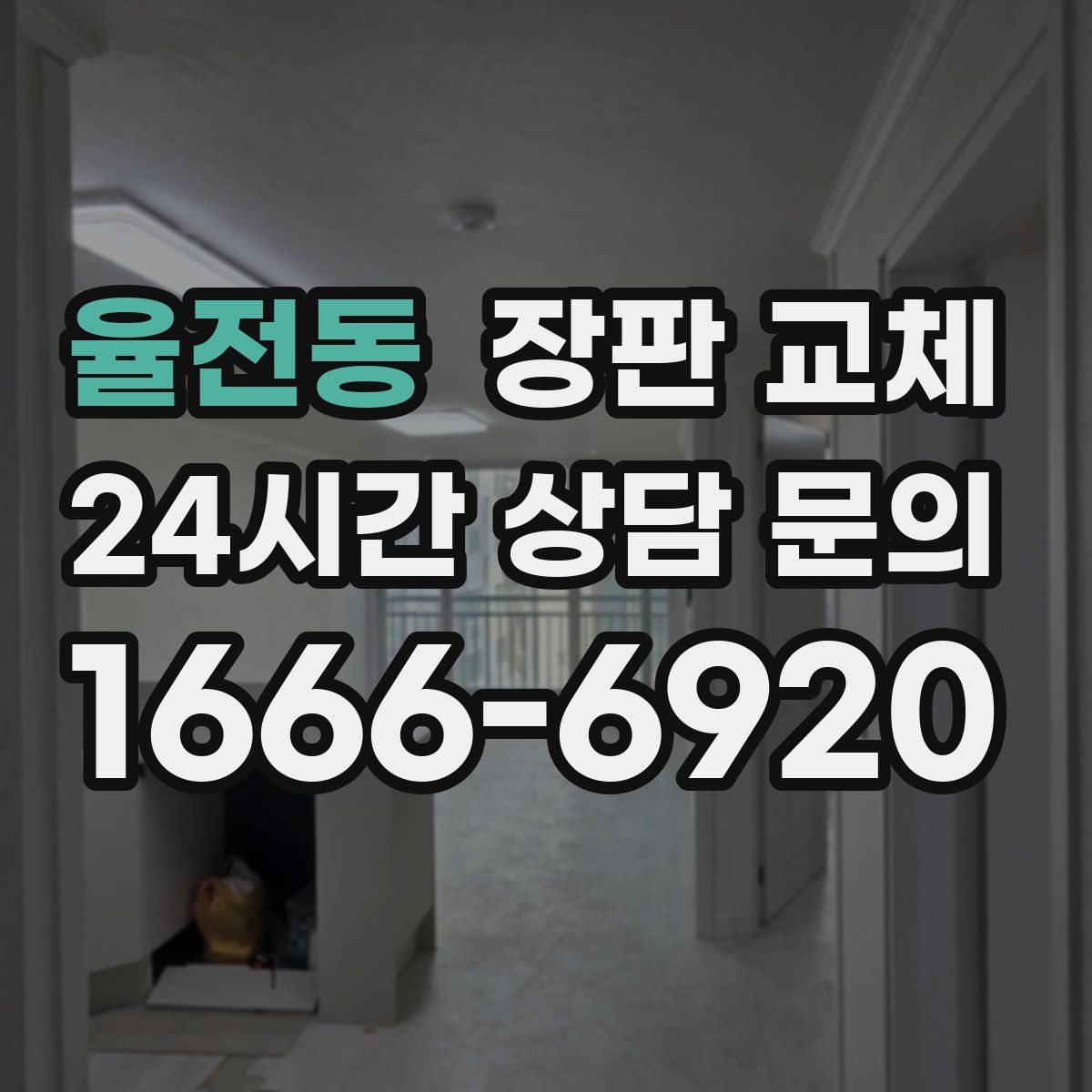 율전동 장판 교체