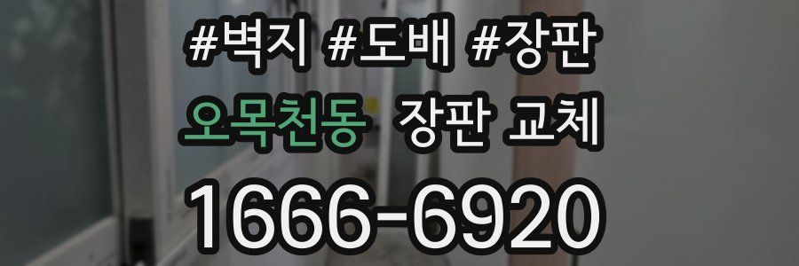 오목천동 장판 교체