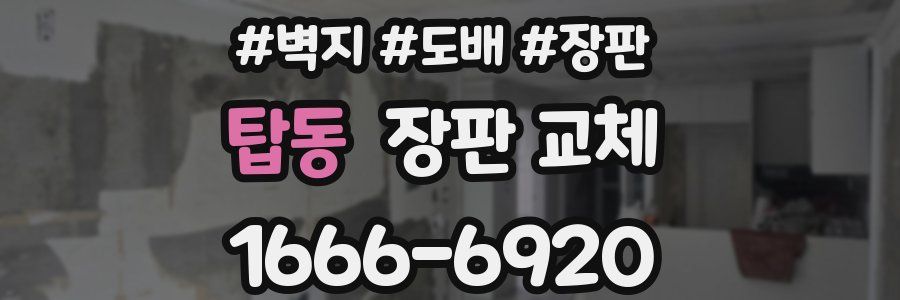 탑동 장판 교체