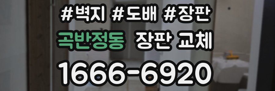 곡반정동 장판 교체