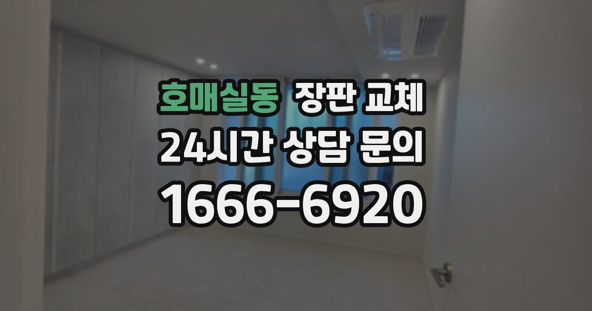 호매실동 장판 교체
