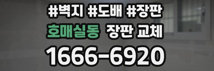 호매실동 장판 교체