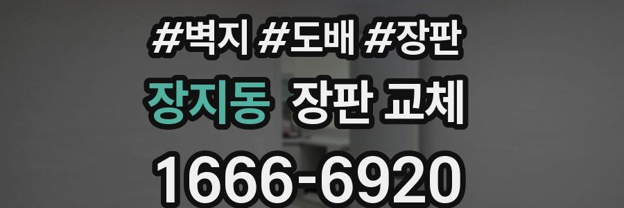 장지동 장판 교체