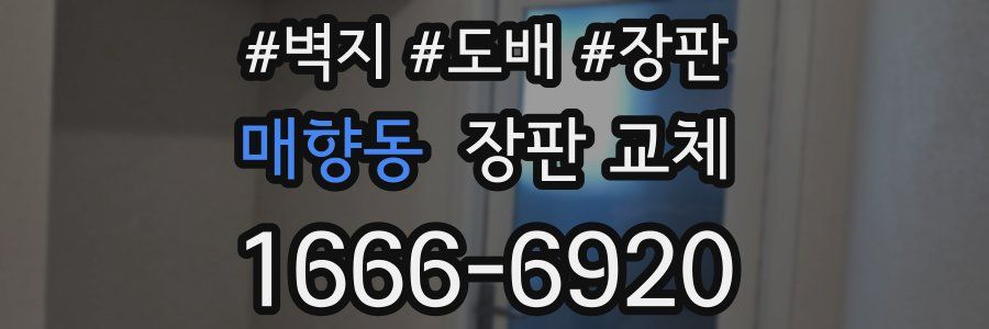 매향동 장판 교체