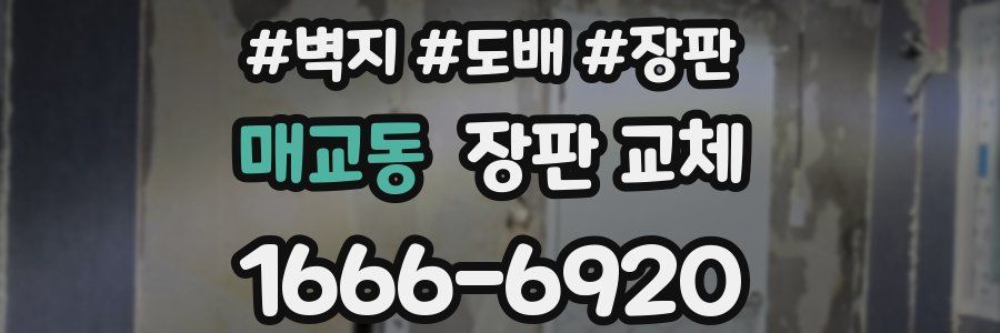 매교동 장판 교체