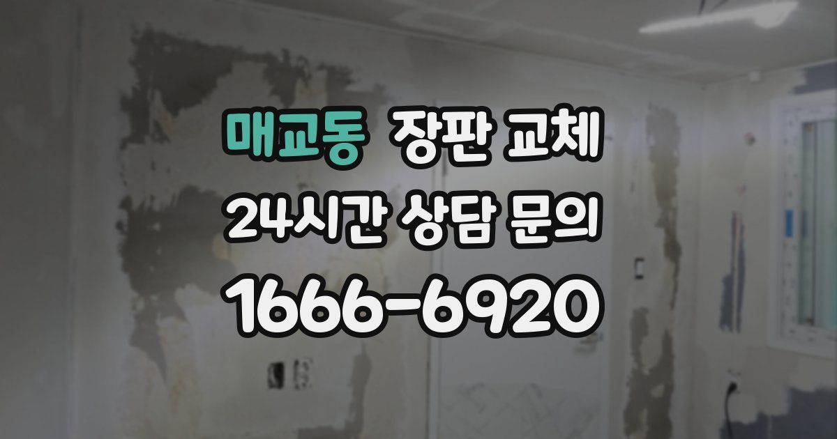 매교동 장판 교체