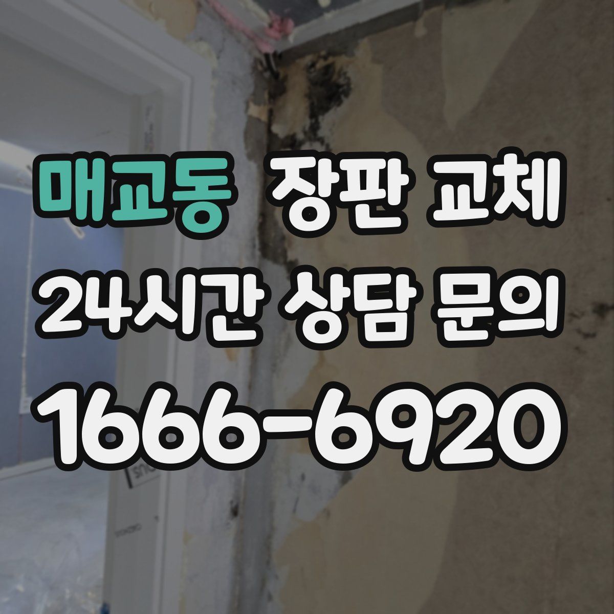 매교동 장판 교체