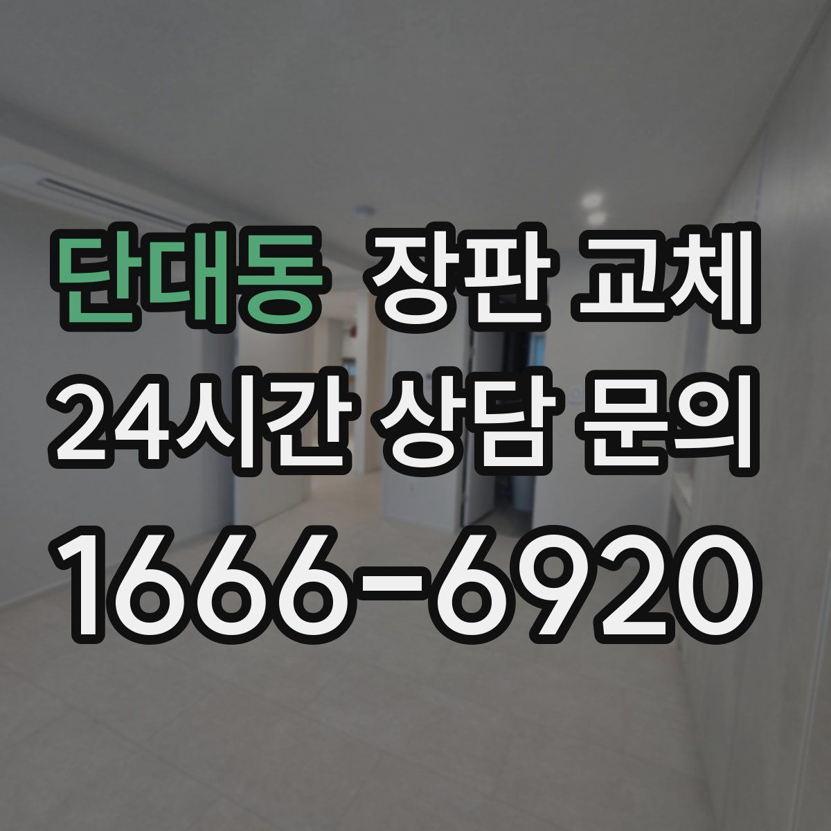 단대동 장판 교체