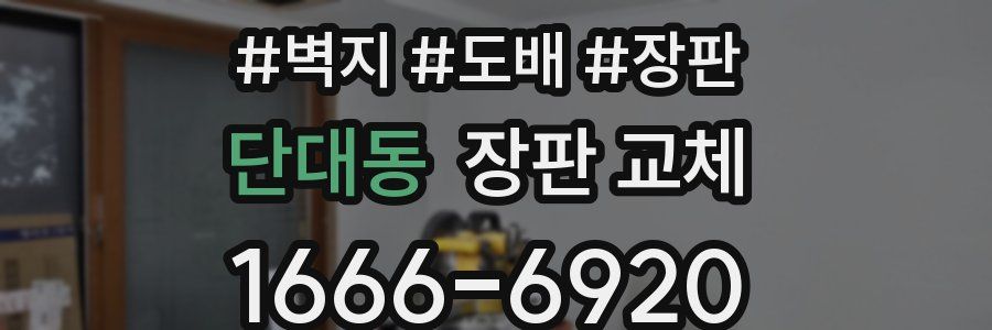 단대동 장판 교체