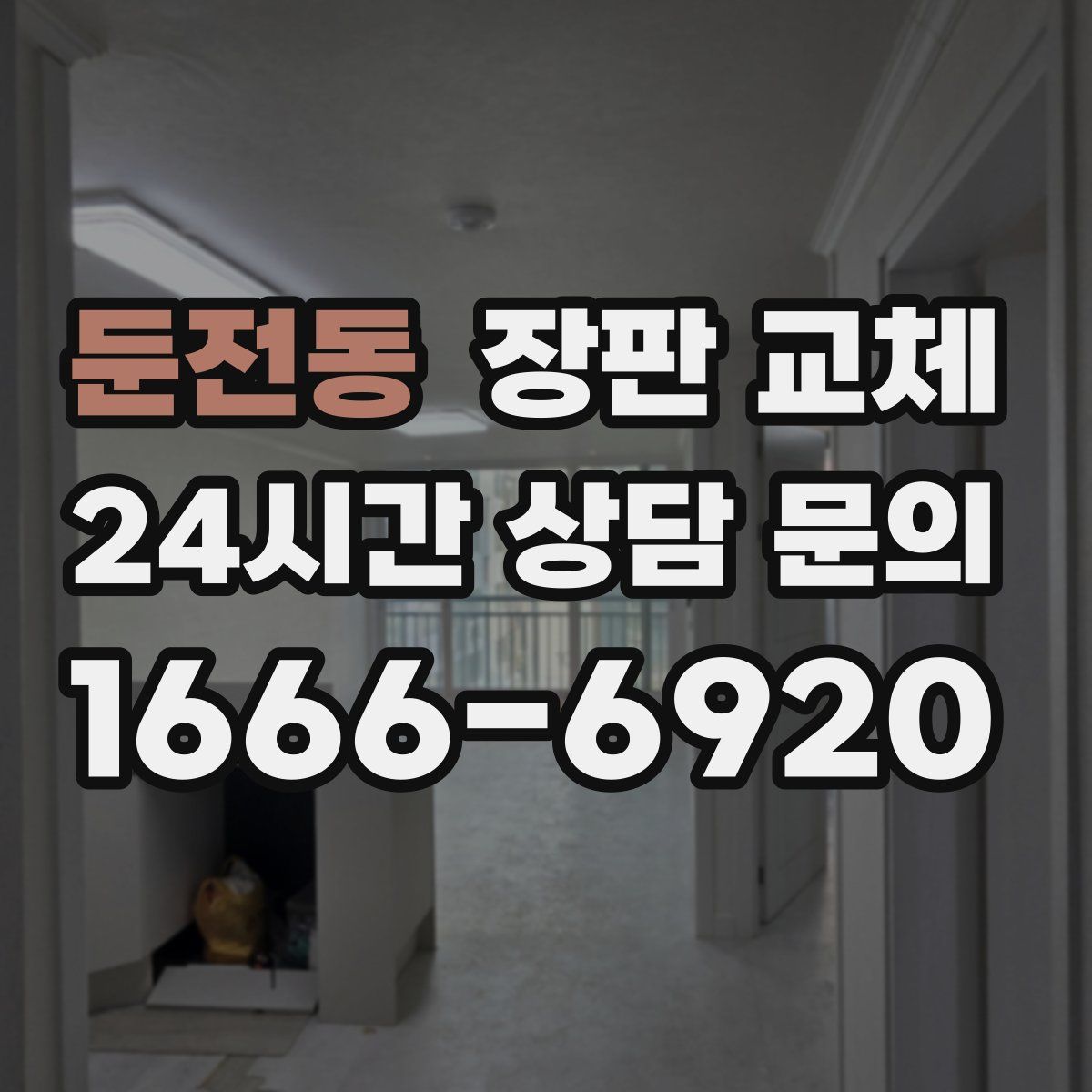 둔전동 장판 교체