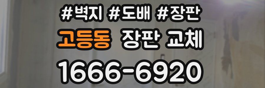 고등동 장판 교체