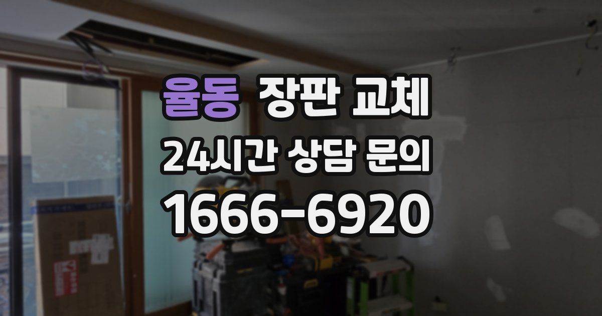 율동 장판 교체