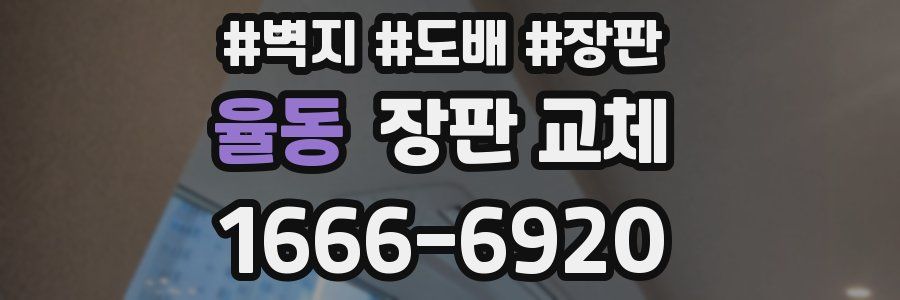 율동 장판 교체