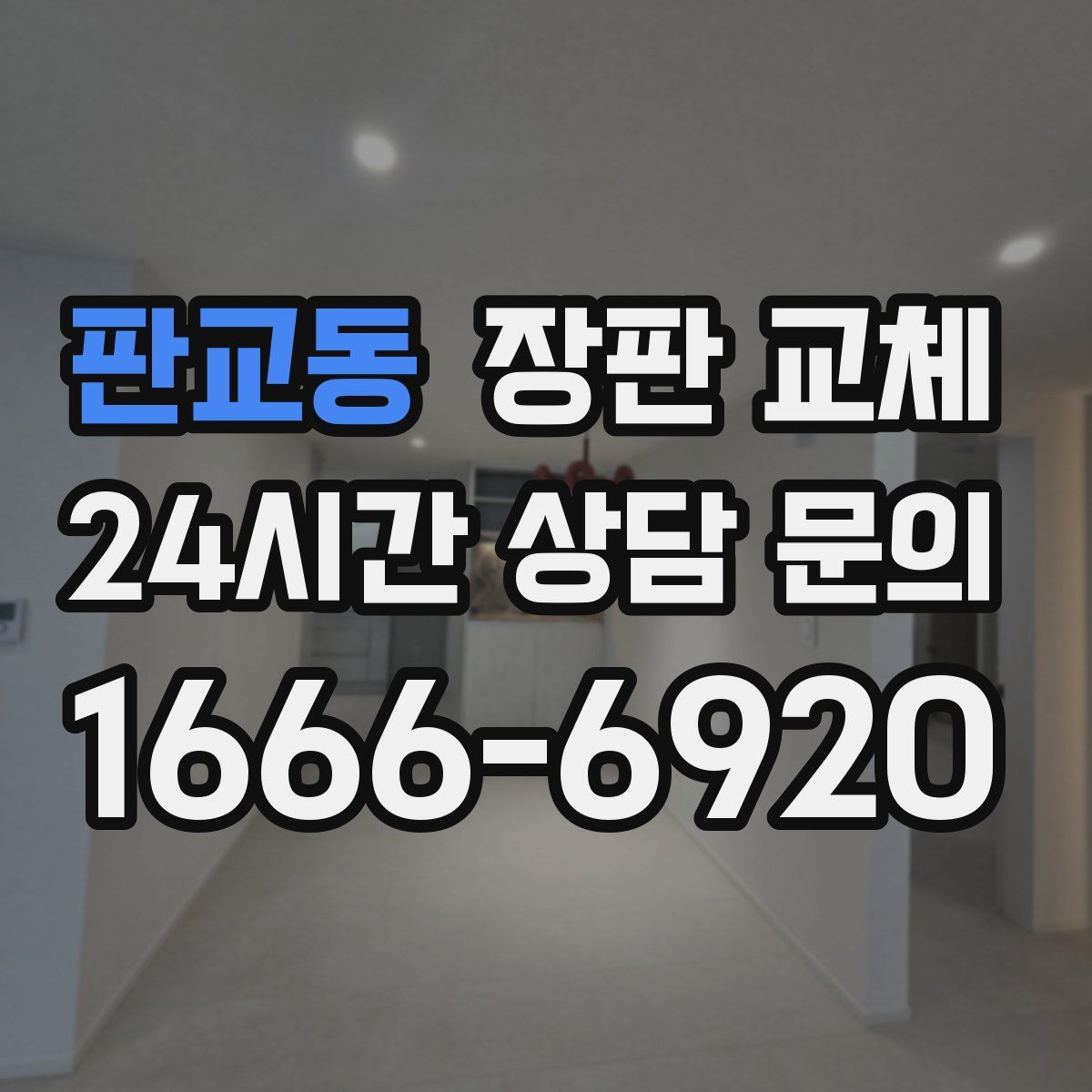 판교동 장판 교체