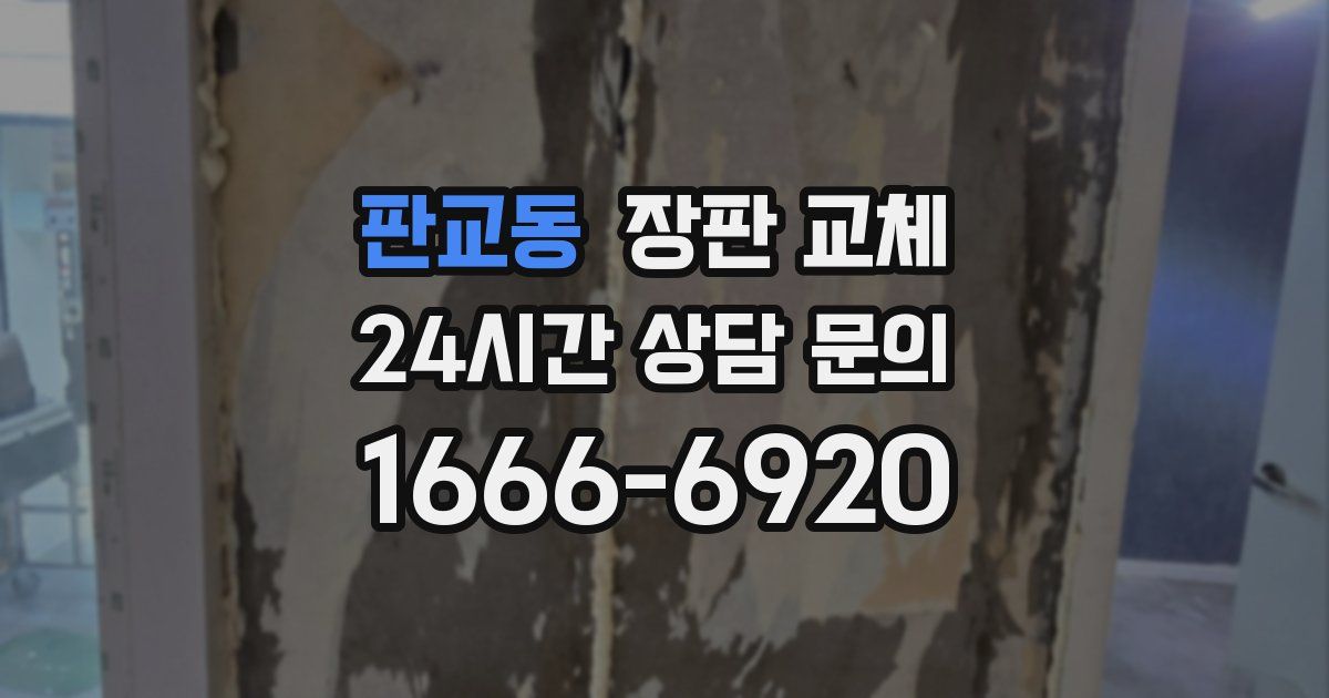 판교동 장판 교체