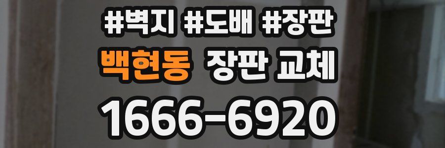 백현동 장판 교체