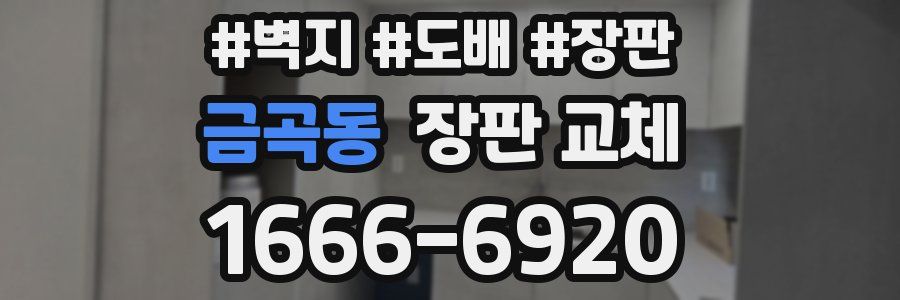 금곡동 장판 교체