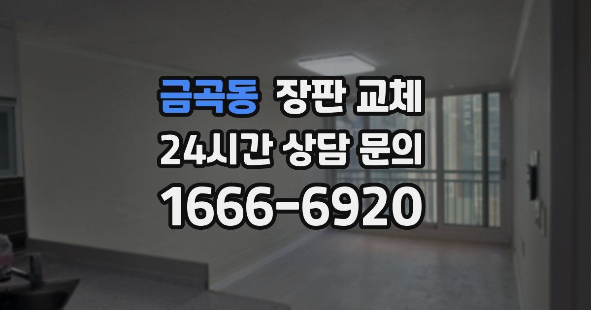 금곡동 장판 교체