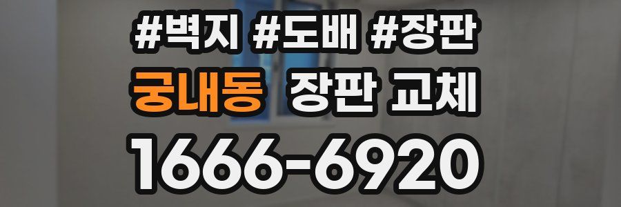 궁내동 장판 교체
