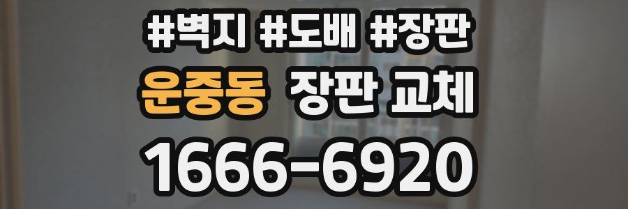 운중동 장판 교체