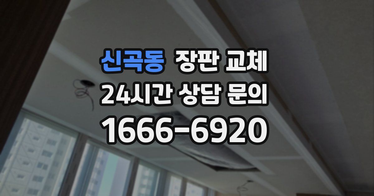 신곡동 장판 교체