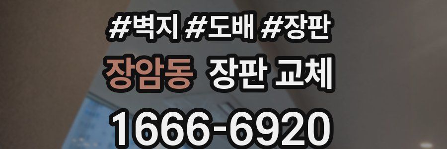 장암동 장판 교체