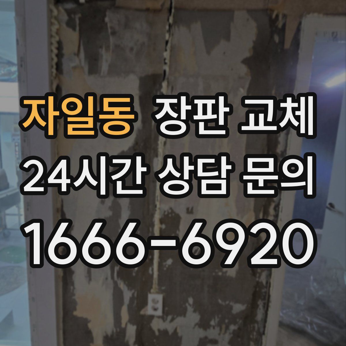 자일동 장판 교체