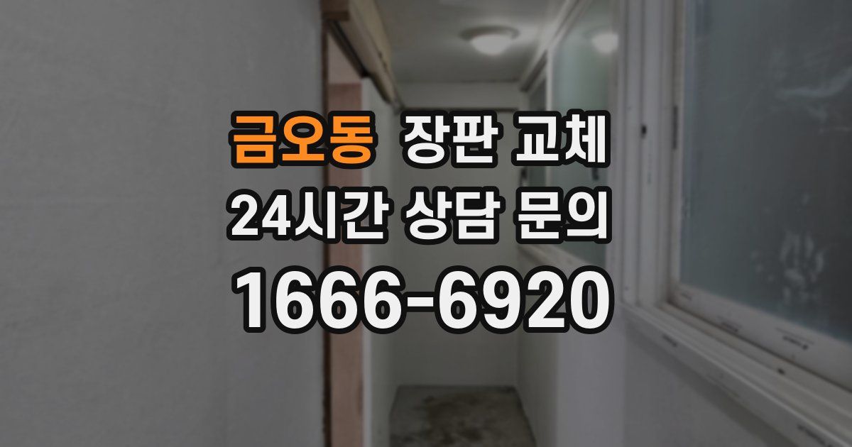 금오동 장판 교체