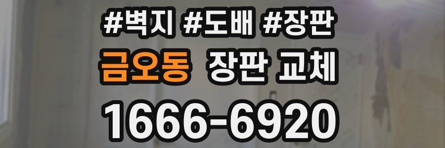 금오동 장판 교체