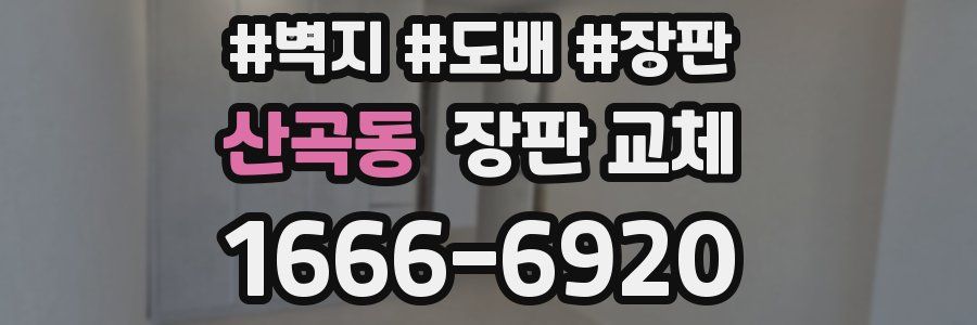 산곡동 장판 교체