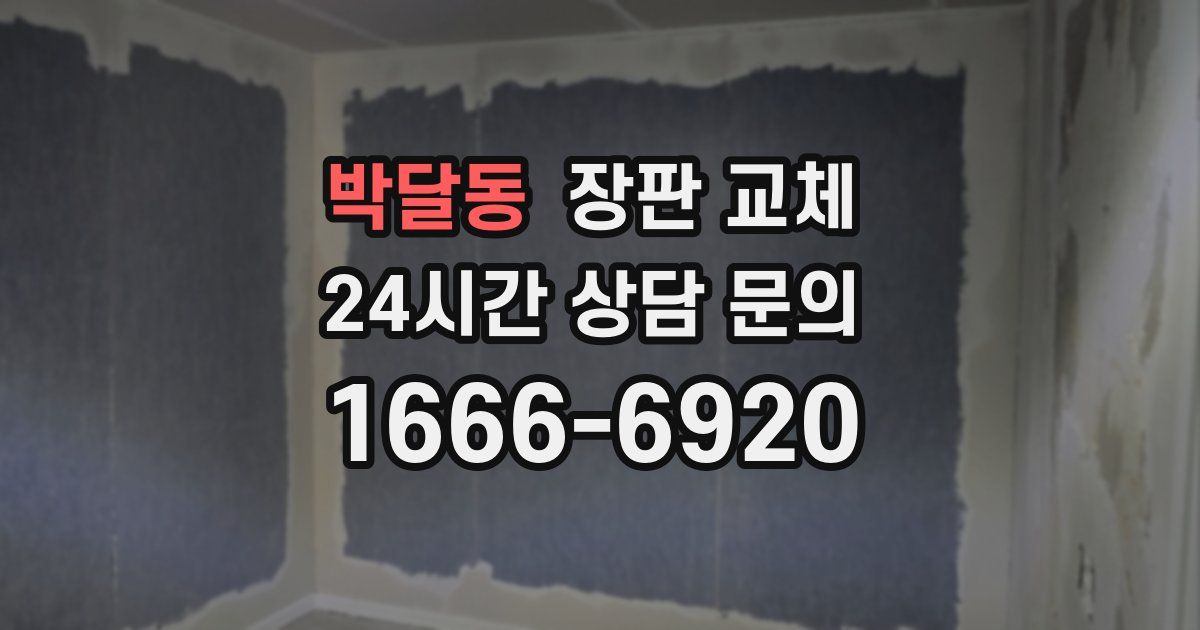 박달동 장판 교체