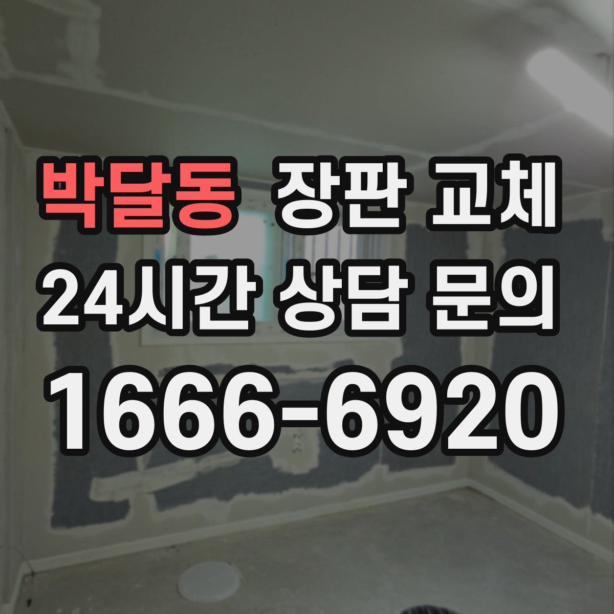 박달동 장판 교체